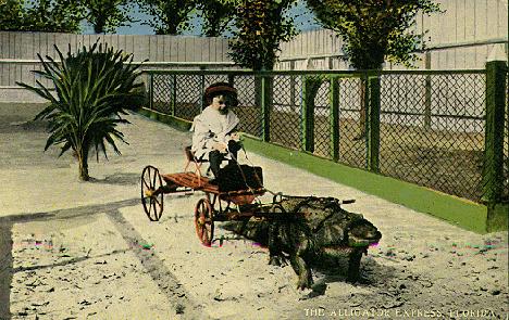 Postcard